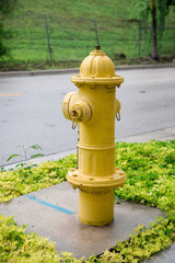 Fototapeta na wymiar American yellow fire hydrant in a street of Miami