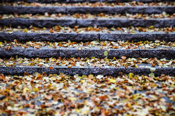 Yellow leaves on granite stairs - autumn landscape with selective focus and blur