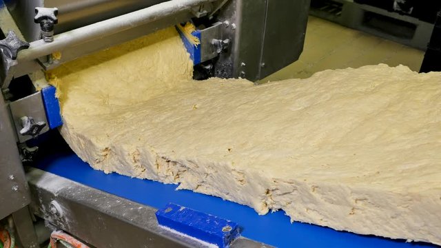 Dough piece at the conveyor of a bakery factory