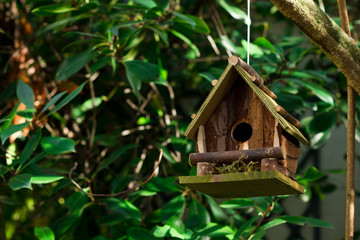 Wooden birdhouse hanging on a tree in the park. 