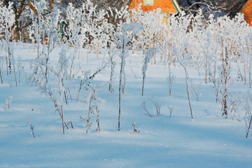 snowy winter. snow. frost