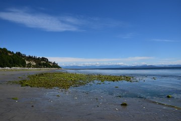 landscape during low tide at Goose Spit Park beach, Comox Vancouver Island, BC Canada; view to the East