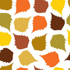 Seamless background with autumn birch leaves. Vector illustration