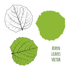Green aspen leaves isolated on white background. Vector illustration