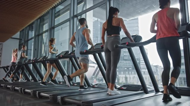 Fit Woman Walks onto Treadmill and Starts Running, Doing Her Fitness Exercise. Muscular Women and Men Actively Training in the Modern Gym. Sports People Workout in Fitness Club. Side View Slow Motion