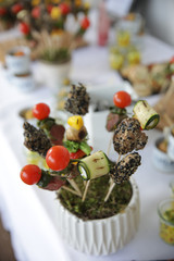 Buffet, Büfett, Büffet,  mit Fingerfood, Häppchen, Spießen, 