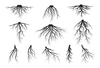 Set of tree roots silhouettes. Vector isolated Illustration.