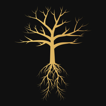 Gold garden leafless tree with roots and branches silhouette. Vector isolated Illustration.