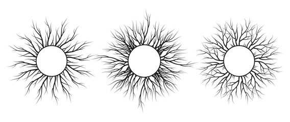 Tree root frame set. Vector isolated timber background. Natural wreath.