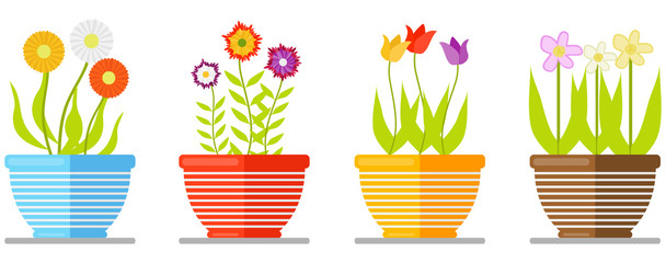 Set of flowers in pot isolated on white background. Set of flowering plants in pots. Floral bouquet. Vector flat