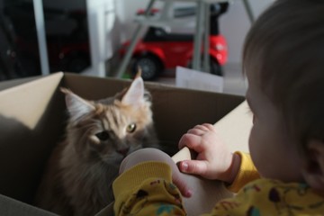 child and cat