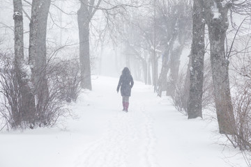 Fototapeta na wymiar Winter is coming. Poor visibility in heavy snow storm in tree park. Young woman walking in dangerous day. Cataclysm of nature. City people life in white blizzard. Foggy air. Back view.