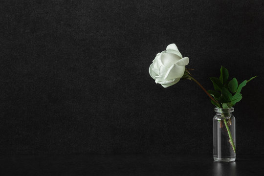 One fresh white rose in glass vase on black background. Condolence card. Empty place for emotional, sentimental text, quote or sayings. Front view. Closeup.