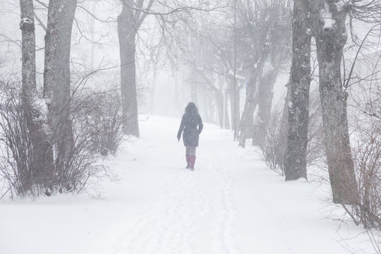 Winter Is Coming. Poor Visibility In Heavy Snow Storm In Tree Park. Young Woman Walking In Dangerous Day. Cataclysm Of Nature. City People Life In White Blizzard. Foggy Air. Back View.