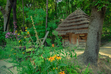 Ukraine rural country side village park outdoor scenic landmark view with wooden traditional house straw roof and garden flower bed green foliage foreground in spring time 
