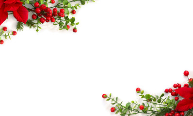 Christmas decoration. Frame of flower of red poinsettia, branch christmas tree, red berry on a...