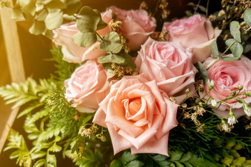 The old roses bokeh in the flare light with dry leaves in the soft  light day. 