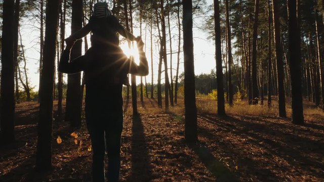 Silhouette of father with his little son on his shoulders walk through a pine forest on a sunny autumn day. Rear view, slow-motion, sunrays