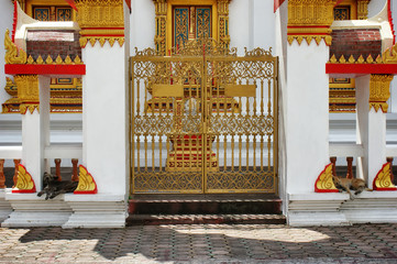 Two dogs sleep at the gate. White building with gold trim in Asian style. Dogs meditate.