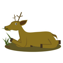 Cartoon illustration of a deer animal eating grass