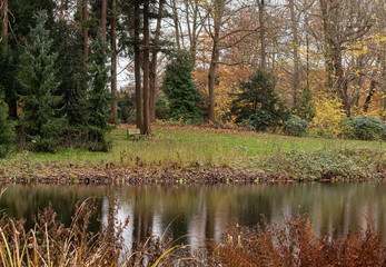 Desolate park bench in park in autumn