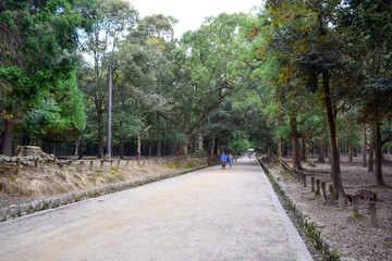奈良公園