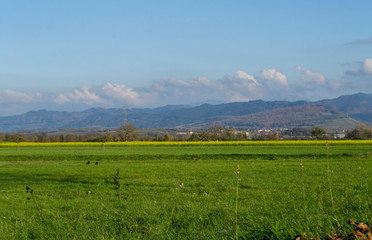 Fototapeta na wymiar green fields near the mountains