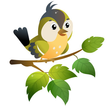 Titmouse. Color image of cartoon bird on branch on white background. Vector illustration for kids.