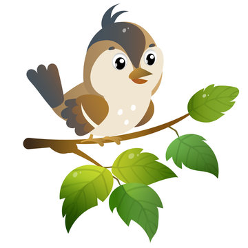 Sparrow. Color image of cartoon bird on branch on white background. Vector illustration for kids.