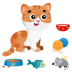 Color images of cartoon cat with feed and toys on white background. Pets. Vector illustration set for kids.