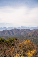 紅葉台から見える青木ヶ原樹海‗縦