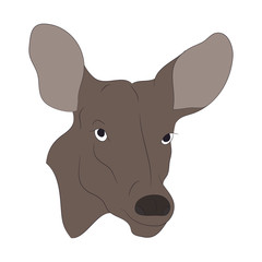 deer portrait, color drawing vector