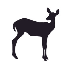 vector illustration deer lies, silhouette, vector