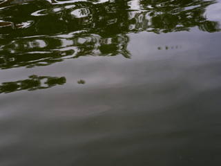 reflections in water background