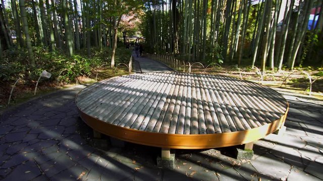 Shuzenji hot spring small diameter of bamboo forest Shizuoka Japan.,
