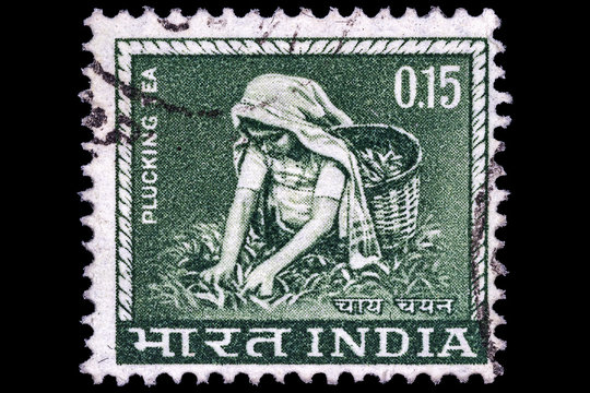 India, 1965. Postage stamp, A woman is picking tea.