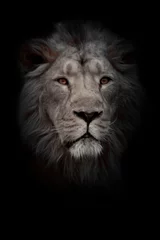 Papier peint photo Lion Moon lion portrait. Portrait full face. powerful male lion with a chic mane impressively lies.  © Mikhail Semenov