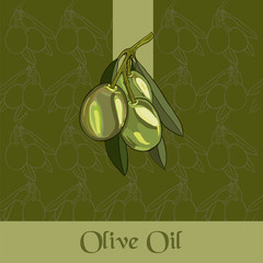 Composition of green olives. For labels for olive oil. Just add your text and logo.