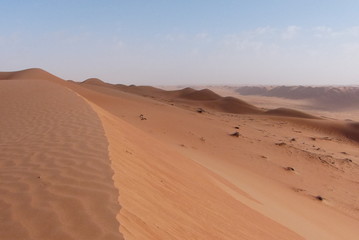 Fototapeta na wymiar Desert Sultanat Oman