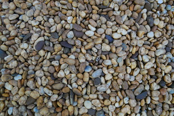 pebble beach stone background, smooth stone texture