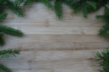 christmas background with fir branches