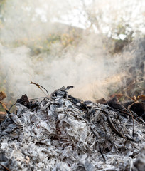 Burning fire of dried leaves. Flames and smoke from burning leaves