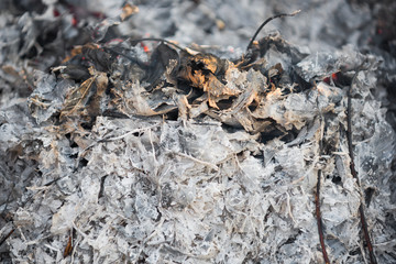 Pile of ashes after the fire. Ash texture