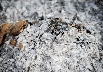 Pile of ashes after the fire. Ash texture