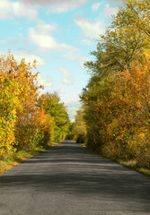 Obraz premium Autumn country road with colorful trees