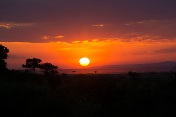 Breathtaking sunset in Masai Mara National Park in Kenya, Africa