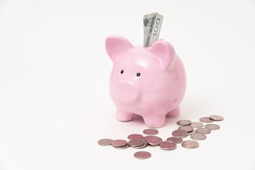 Piggy bank with dollar on white background