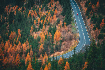 Running training in autumn colorful landscape. Two athletes run on the road in mountains