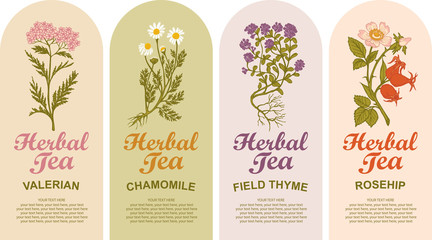 Set of vector labels for various herbal tea. Valerian, Chamomile, Field thyme, Rosehip. Tea labels with hand-drawn medicinal herbs and calligraphic inscriptions with place for text in retro style. - obrazy, fototapety, plakaty