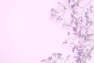 Delicate pink clean background with natural dried flowers, Copy space